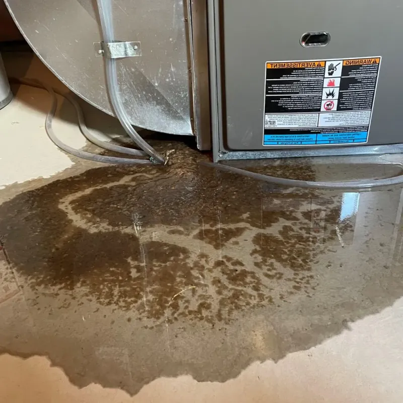 Pipe Burst and Leak Restoration in Broadalbin, NY